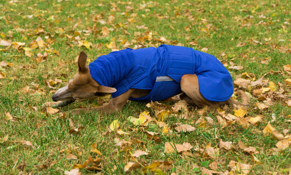 WHIPPET WINTER COAT + NECK WARMER- READY-MADE