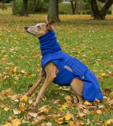 WHIPPET WINTER COAT + NECK WARMER- READY-MADE