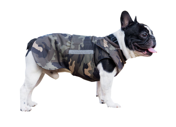 FRENCH BULLDOG WINTER DOG COAT / MADE TO ORDER